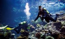 Ενυδρείο ανοίγει «Κιβωτό του Νώε» για είδη κοραλλιών που κινδυνεύουν